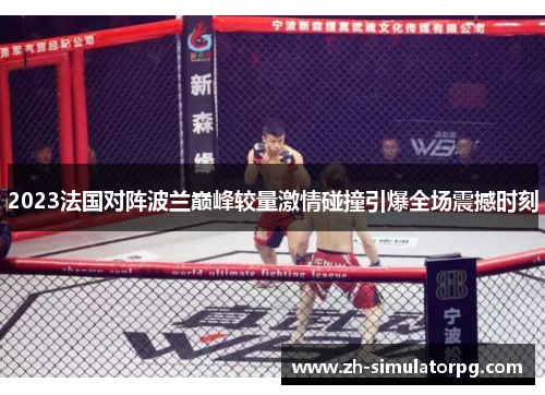 2023法国对阵波兰巅峰较量激情碰撞引爆全场震撼时刻 2023法国对阵波兰巅峰较量激情碰撞引爆全场震撼时刻