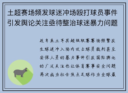 土超赛场频发球迷冲场殴打球员事件引发舆论关注亟待整治球迷暴力问题